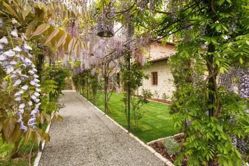 tuscanfarmhouseestate-30c-wisteria