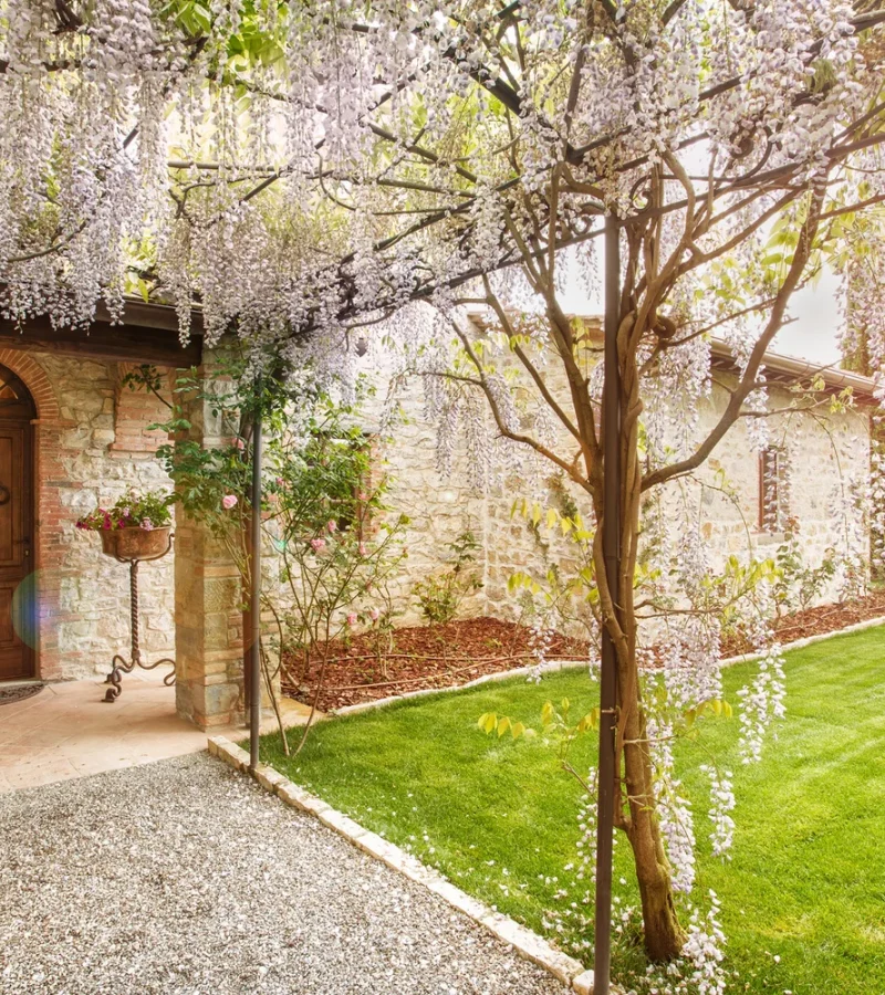 TuscanFarmhouseEstate-30B-Wisteria