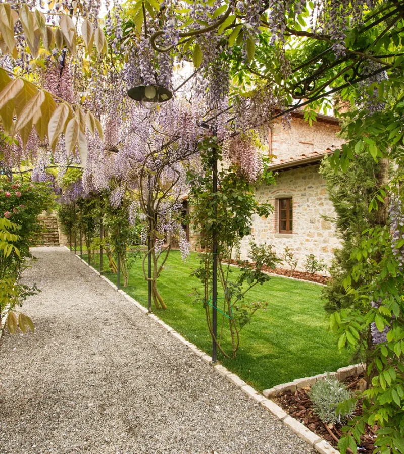 TuscanFarmhouseEstate-30C-Wisteria