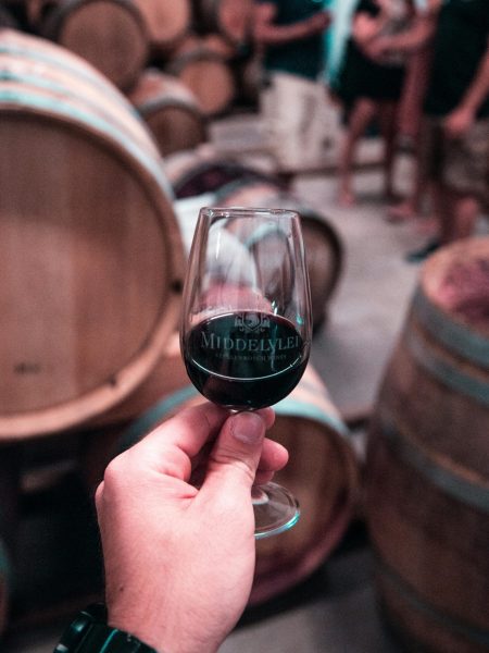 pexels-arthurbrognoli-2440525